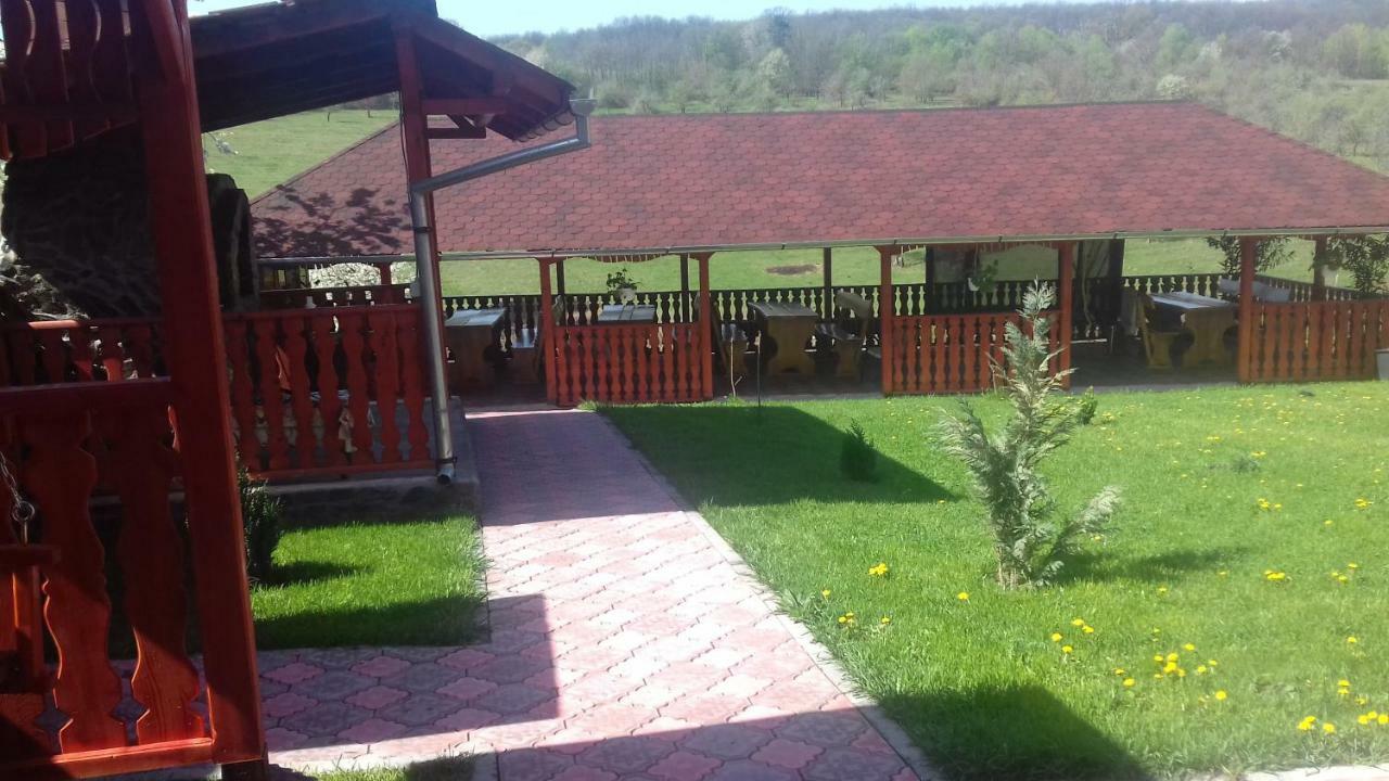 Casa Leonardo Otel Haţeg Dış mekan fotoğraf