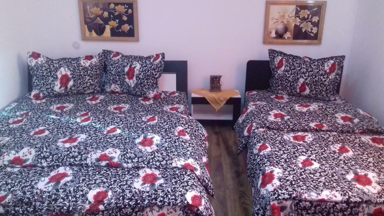 Casa Leonardo Otel Haţeg Dış mekan fotoğraf