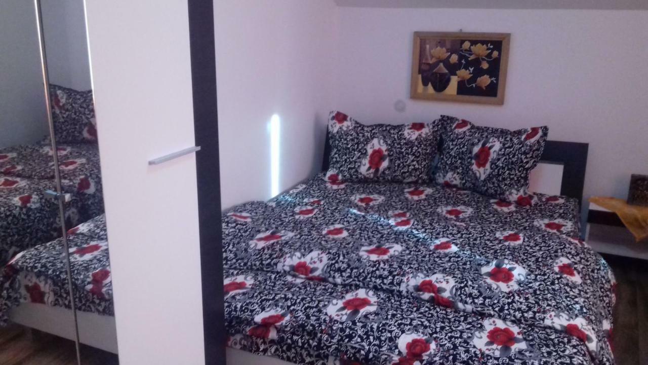 Casa Leonardo Otel Haţeg Dış mekan fotoğraf