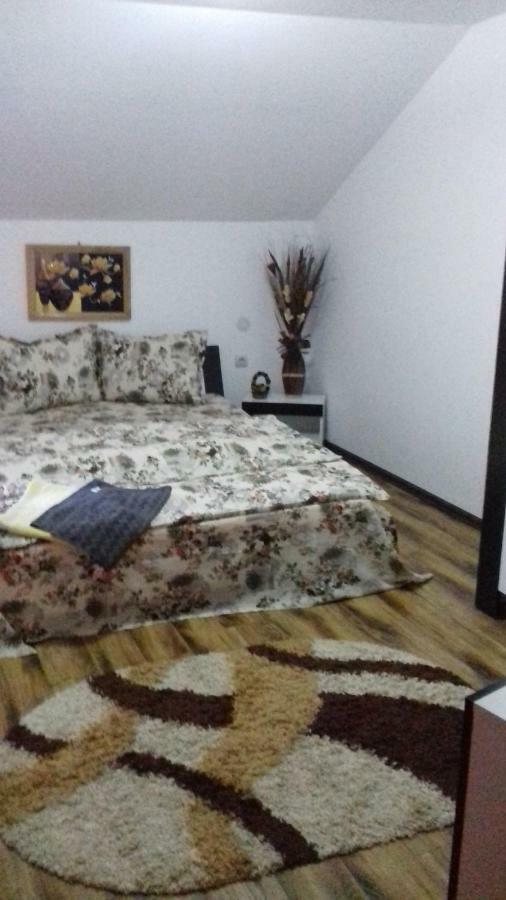 Casa Leonardo Otel Haţeg Dış mekan fotoğraf